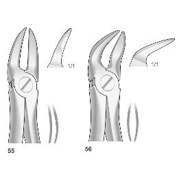 Inferiores Forceps Instrumental Royal Dent